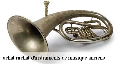 achat rachat d'instruments de musique anciens   31550