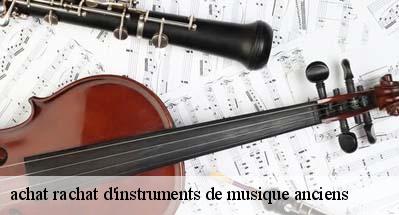 achat rachat d'instruments de musique anciens   31550