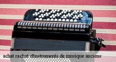 achat rachat d'instruments de musique anciens   31550