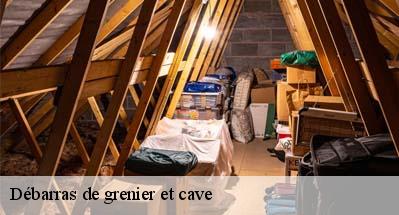 Débarras de grenier et cave  31550