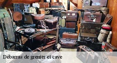 Débarras de grenier et cave  31550