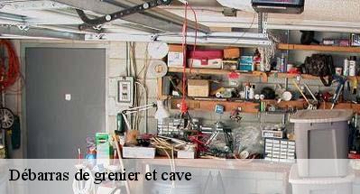 Débarras de grenier et cave  31550