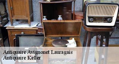 Antiquaire  31290