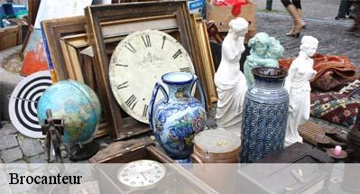 Brocanteur  31550