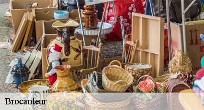 Brocanteur  31360