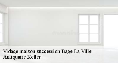 Vidage maison succession  01380