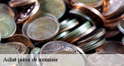 Achat pièce de monnaie  01500